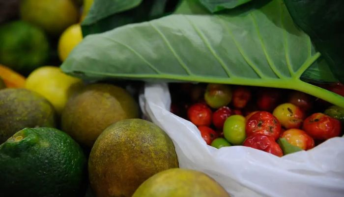 Lula sanciona com vetos Projeto de Lei dos Agrotóxicos